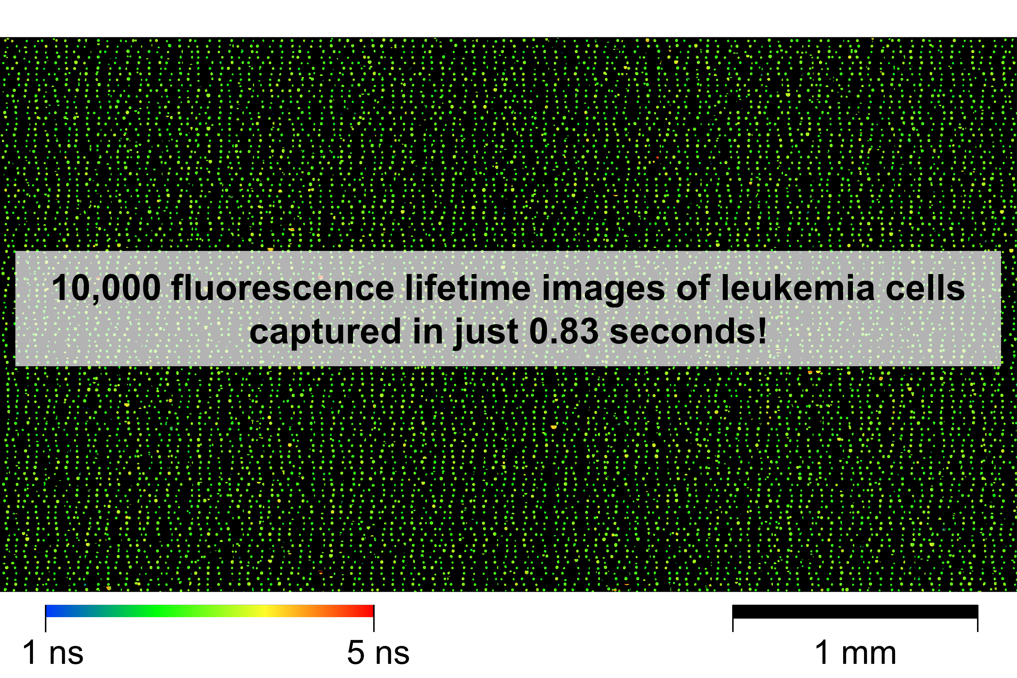 World's Fastest Fluorescence Lifetime Imaging Microscopy (FLIM)