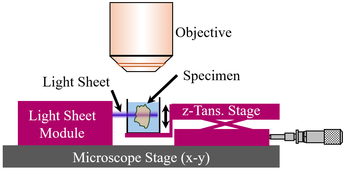 透明化組織標本の3次元観察を手のひらサイズの装置で実現～いつでも、どこでも、誰でもが使える光シート顕微鏡の実現～