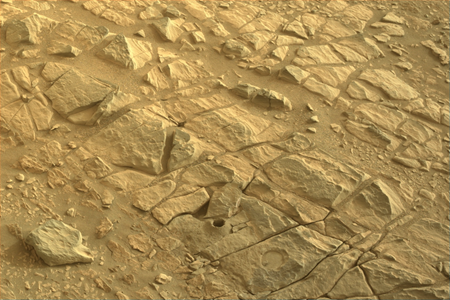 The chances of anything coming from Mars