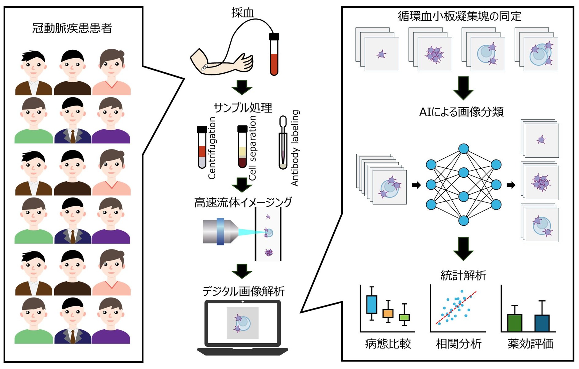 抗血小板薬の効果を“見る”時代へ