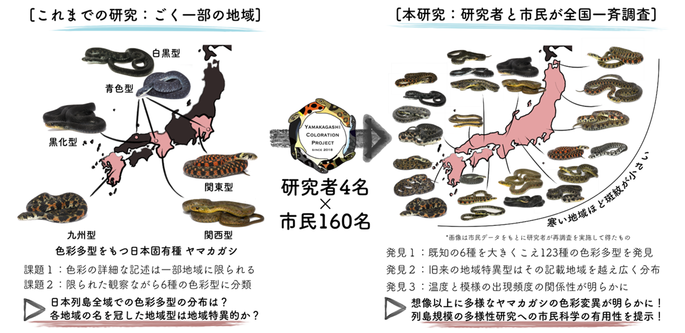 研究者4人と市民160人が垣根を越えて全国一斉ヘビ調査