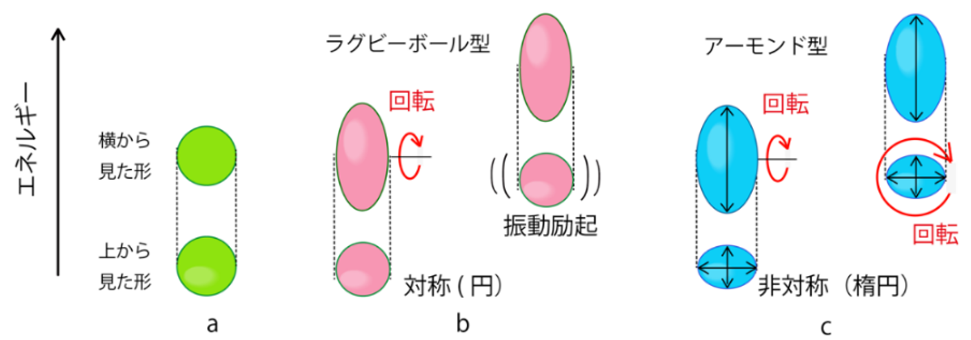 The Shape of Atomic Nuclei Is