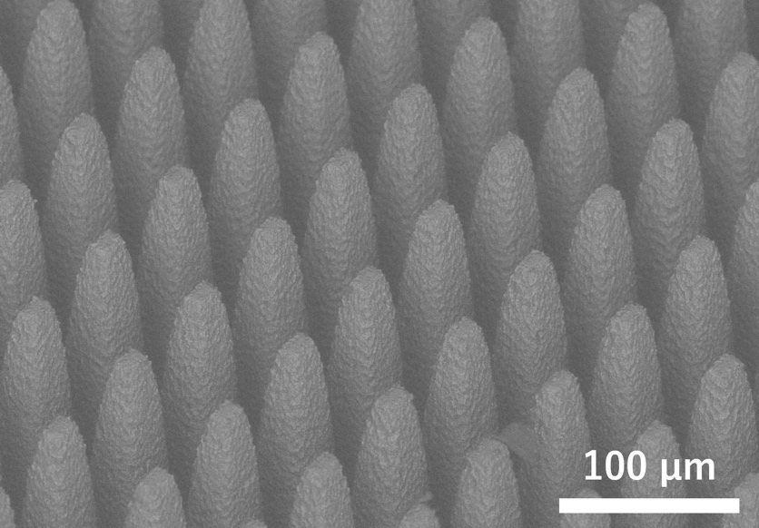 Ultra-broadband full absorber with carbon-coated moth-eye structure