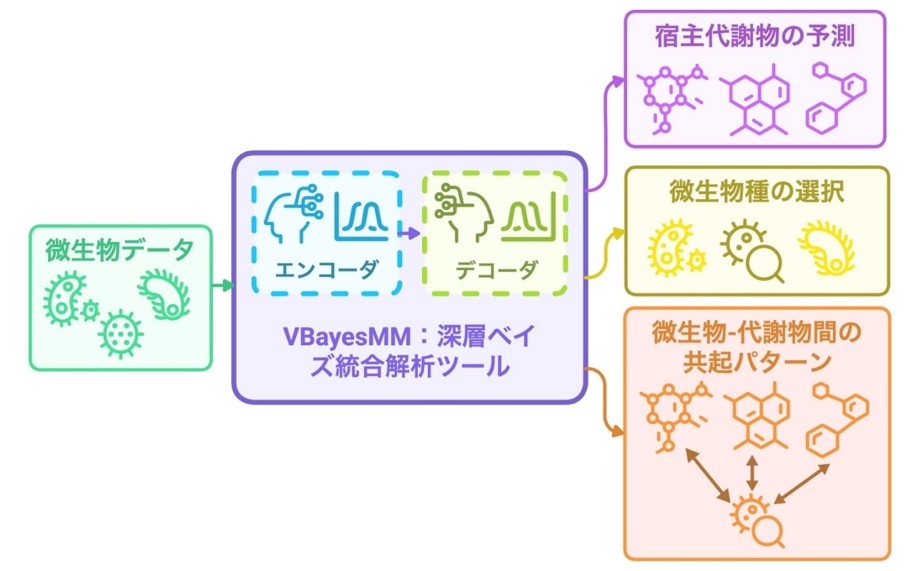 Developed VBayesMM, a deep Bayesian integrated analysis method for microbial-metabolite association discovery.