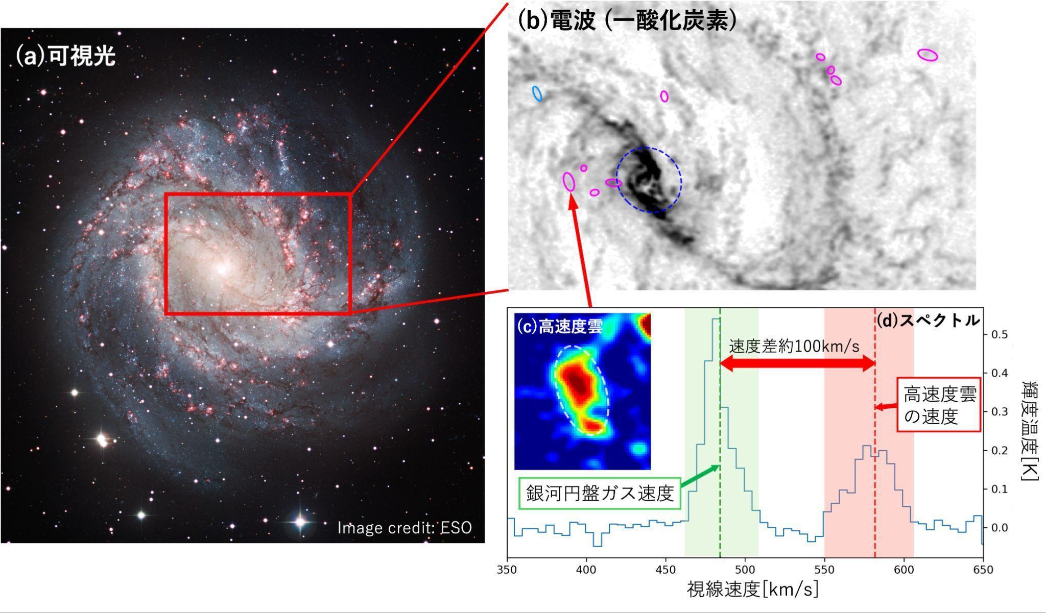 銀河は外から星を育てるガスを受け取っていた～近傍銀河M83で銀河円盤に流れ込んでいる分子ガスを発見～