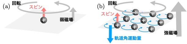 磁気渦物質における角運動量反転現象の理論的発見