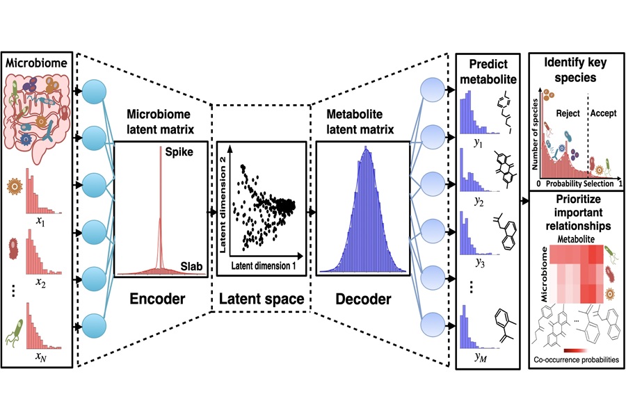 Developed VBayesMM, a deep Bayesian integrated analysis method for microbial-metabolite association discovery.