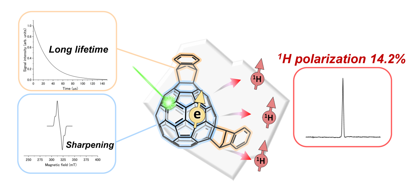 フラーレン誘導体が光誘起超核偏極に有用であることを発見～高感度化MRIへの応用に必要な実用化レベルの高偏極率を達成～