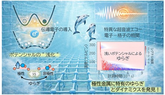 Elucidating the Mystery of Structural Fluctuations Hidden in Polar Metals