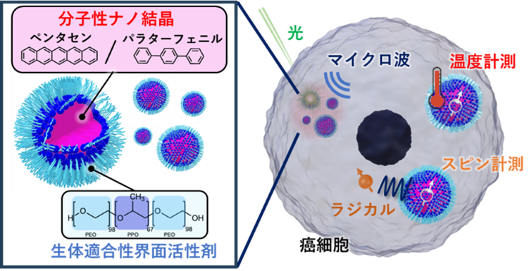 「分子」そのものを生体ナノ量子センサに