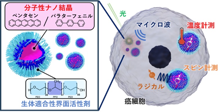 「分子」そのものを生体ナノ量子センサに