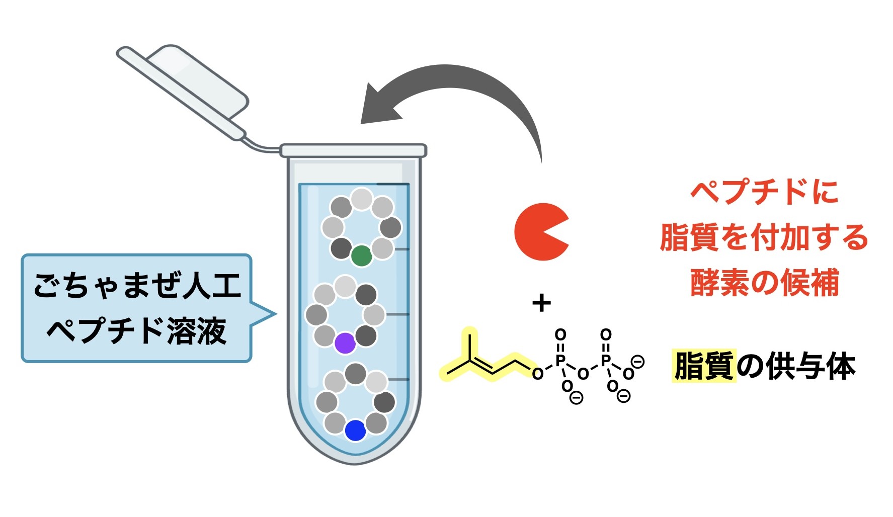 Simultaneous Screening for Novel Enzymes That Modify Peptides Using the “Mixed-Method” Approach