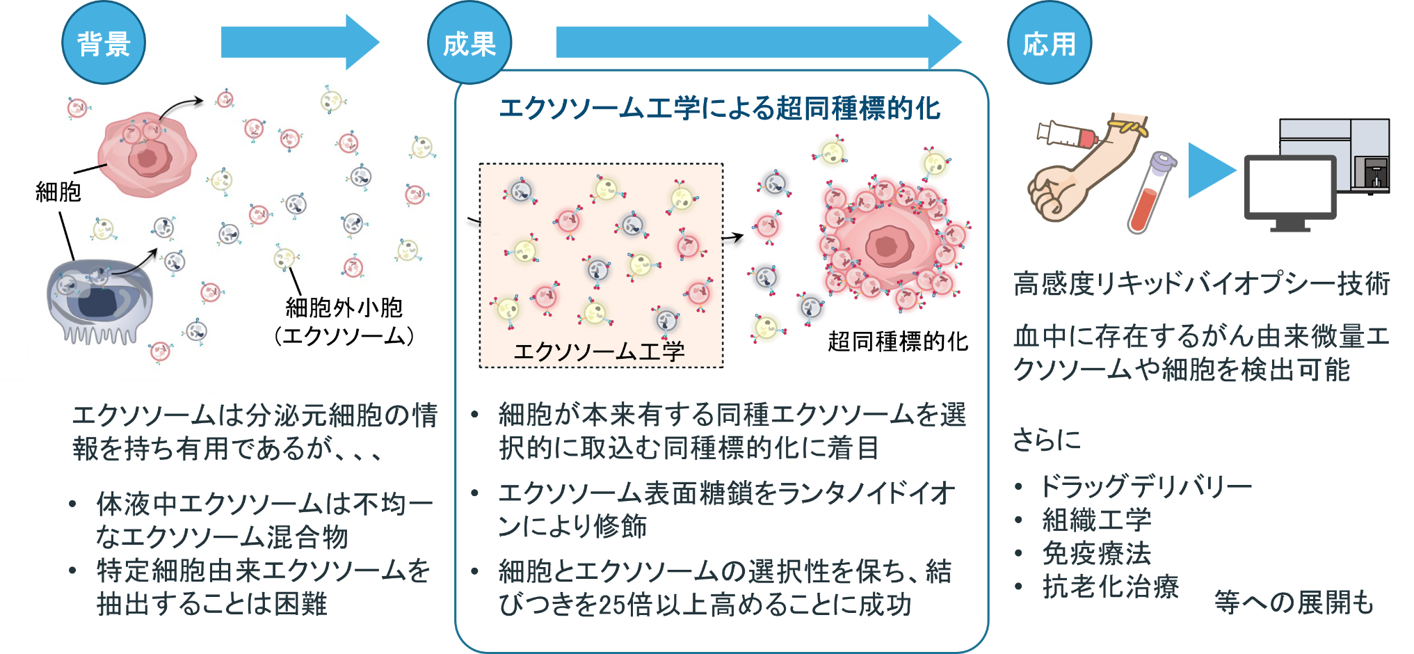 エクソソーム工学で細胞機能を飛躍的に増幅