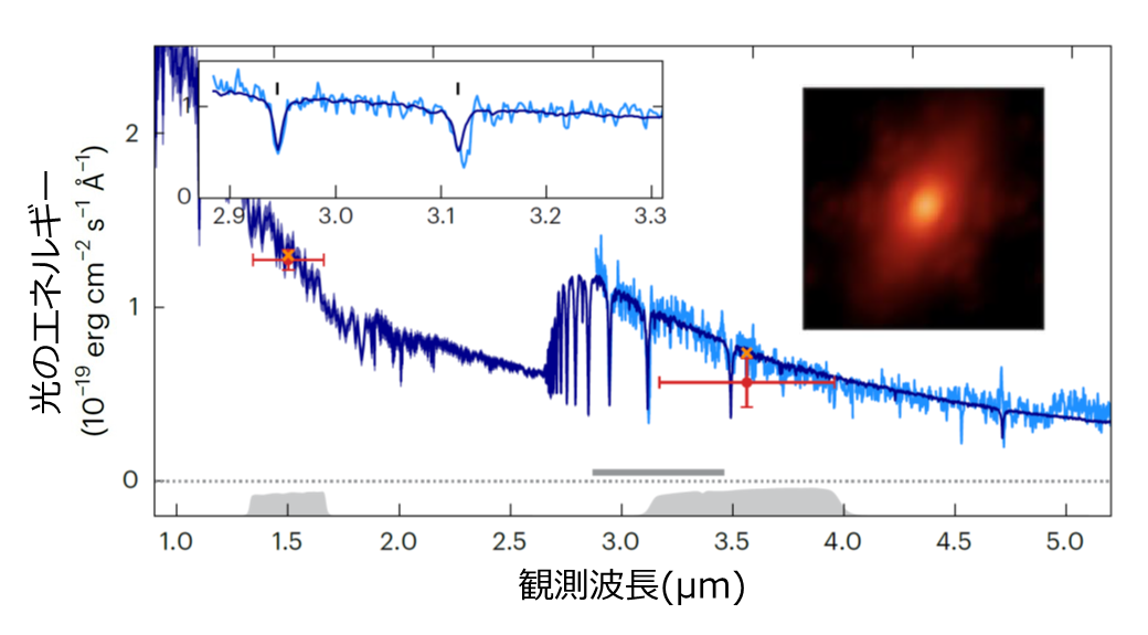 遠方宇宙で巨大銀河の進化を促す超大質量ブラックホール